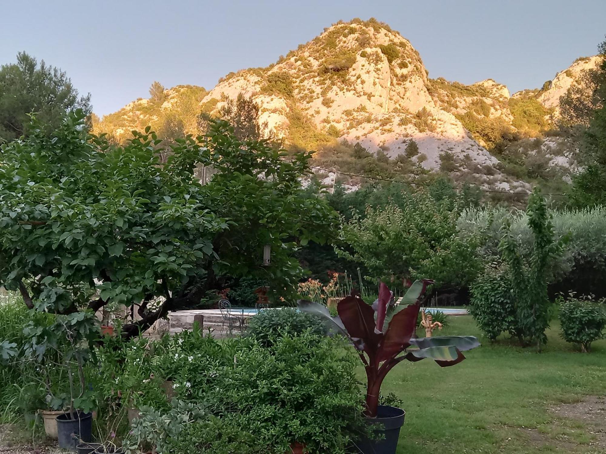 La Roulotte Du Petit Paradis Saint-Remy-de-Provence Exterior photo